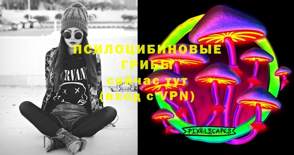 стаф Нефтекумск