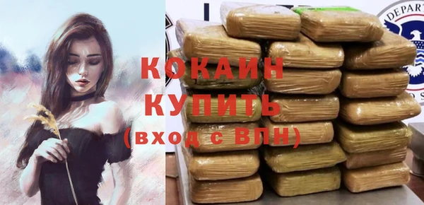 соль ск Надым