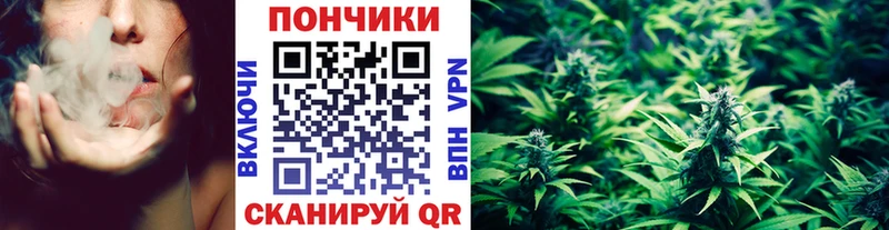 Бошки марихуана план Курск